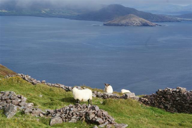 Rose Cottage Ballinskelligs Kültér fotó